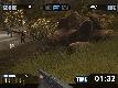 Flash Crisis